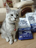 卫仕深海美毛爆爆袋猫干粮成猫幼猫冻干鲜肉猫粮4.5kg 实拍图