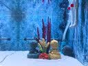 阔庭（KUOTING）新款古法鱼缸一体缸自循环免换水懒人带灯生态鱼缸黑色【超大号】 实拍图