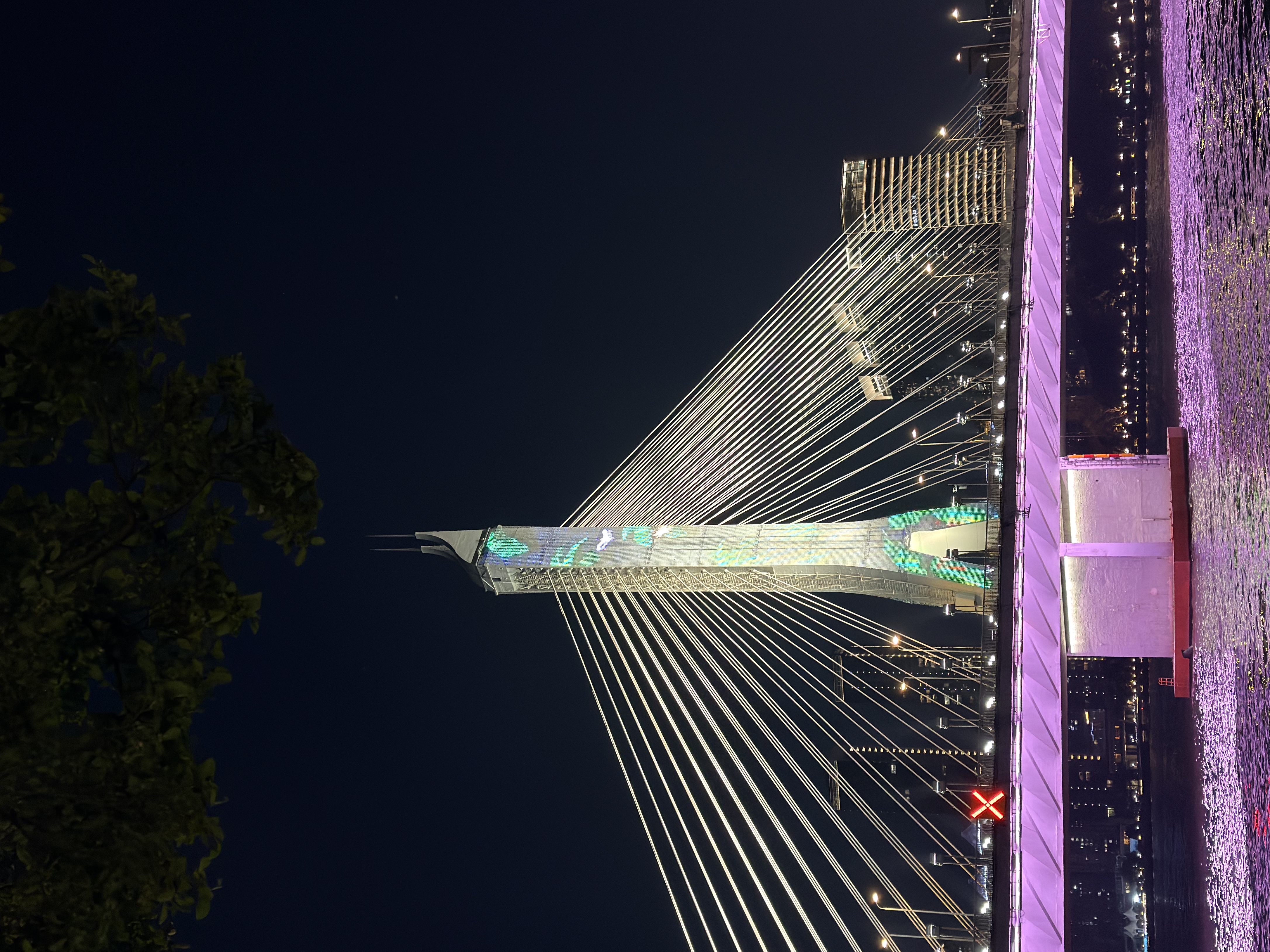 京盟主泰国进口山竹6A特大果整箱油麻竹一级5A当季新鲜水果中秋礼品送人 【10斤礼盒装】净重9斤 特级果6A及以上（单果100g+） 实拍图