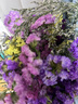 3.18节勿忘我鲜切花真花客厅餐桌插花摆件送人礼物 勿忘我2束（2-5个颜色）约400g效果更好 实拍图