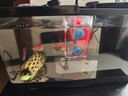 派乐特 鱼缸换水器手动洗沙器抽水泵水族箱换水管吸便器虹吸鱼缸清洁刷 晒单实拍图
