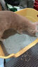 沃趣 猫砂原矿小米砂10斤除臭低尘结团膨润土升级款小颗粒 实拍图