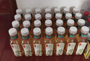 农夫山泉【新口味】东方树叶陈皮白茶500ml*15瓶无糖茶饮料0糖0脂0卡 实拍图
