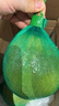 京鲜生 翡翠青柚 红心柚 2粒装 单果1.5斤起 生鲜柚子水果 实拍图
