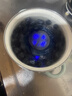 东菱（Donlim）升级转转果蔬清洗机 除菌除农残自动洗菜机 洗菜消毒神器 无线便携清洗机 DL-1326 DL-1326【蓝色】 实拍图