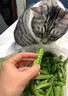 中鲜生 云南新鲜豌豆 甜豌豆新鲜蔬菜现摘豆角 净重3斤装【尝鲜装】鲜嫩饱满 实拍图
