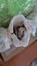 郭大良心零食手工豆腐干450g麻辣五香味四川宜宾南溪特产传统豆干 (厚实偏软)手工五香味(长条)450g 实拍图