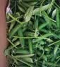 中鲜生 云南新鲜豌豆 甜豌豆新鲜蔬菜现摘豆角 净重4.5斤【好划算】鲜嫩饱满 实拍图