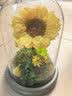 Para Ella向日葵永生花高级生日礼物女伴手礼一举夺魁金榜题名母亲节情人节 实拍图