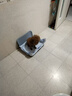 HELLOJOY狗狗厕所中小型犬防踩屎尿盆宠物用品小狗狗砂盆拉屎便盆专用大号 实拍图
