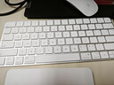 Apple/苹果 妙控键盘-中文 (拼音) 轻薄苹果键盘蓝牙键盘无线键盘办公键盘 实拍图