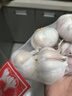 【百万单爆品】紫白皮蒜水果大蒜超市生鲜蔬菜调料即食蒜 【优选】净重0.9斤单果3.5-5cm 实拍图