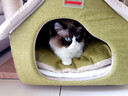PETSTAR猫房子猫窝四季通用 封闭式猫咪屋可拆洗宠物睡觉的窝 实拍图