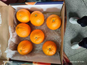 新奇士（Sunkist）美国蓝标早脐橙大果4斤礼盒装 单果220g起 新鲜水果礼盒 实拍图