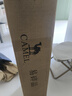 骆驼（CAMEL）天幕户外大号黑胶露营帐篷野营野餐遮阳棚防雨防晒野外露营 B011A 实拍图