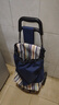 爬楼梯便携购物买菜车小拉车家用可折叠轻便手拉杆拖车老人手推车 基础加粗车+静音大轮+蓝条纹 实拍图