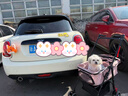 HOUYA宠物推车可折叠中小型犬猫咪狗狗轻便外出手推代步车 实拍图