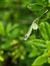 一途日产奇骏后雨刮后雨刮器新奇骏【14款-至今】后雨刷后雨刷器原厂原装原车尺寸A级胶条 实拍图