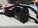 尼康（Nikon）【国行带票】Z50II半画幅新手入门级微单相机Z50 II 高清摄影摄像 直播美颜自拍z50二代便携相机 Z50II 单机/全新拆单机（不含镜头） 标配【送钢化膜+64G卡+沣标电池 实拍图