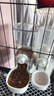 疯狂的主人宠物悬挂式喂食器狗狗猫咪饮水机兔子食盆挂笼宠物喝水猫碗狗食盆 实拍图