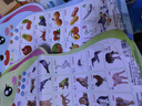 乐乐鱼（leleyu）卡通兔有声早教挂图儿童玩具宝宝识字表墙贴3张男孩女孩生日礼物 实拍图