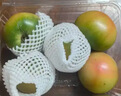 【水果菜】碱地柿子450g(铁皮柿子) 实拍图