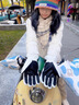 兼彩滑雪手套男秋冬加绒加厚防泼水骑行触屏户外运动防寒保暖棉手套女 实拍图
