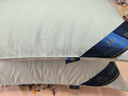 五星级酒店同款枕头枕芯舒适睡眠专用一对家用学生宿舍不塌陷枕头 白色经典款【中枕】 【一对装+枕套】 实拍图