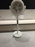松下空气循环扇家用直流变频电风扇落地扇3D立体广角送风 新品上市循环扇F-CW1901C-W 实拍图