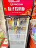 扬子（YANGZI）展示柜冷藏大容量饮料啤酒保鲜柜立式冰柜商用超市玻璃门上下机直风冷 380单门下机丨标准基础款【直冷】丨一级能效 【铜管制冷】【东贝压缩机】 实拍图