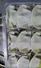湾仔码头白菜三鲜猪肉水饺1320g66只早餐速食半成品面点速冻饺子 实拍图