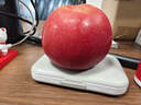 京鲜生 烟台红富士苹果 净重10斤 单果160g以上 礼盒装 生鲜水果 实拍图