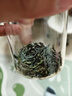 徽六2026新茶上市 绿茶六安瓜片茶叶50g 潜香800特二级雨前罐装自己喝 实拍图