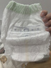 babycare金山茶花拉拉裤XXXXL26片(＞19kg)婴儿尿不湿超薄透气轻柔花苞裤 实拍图