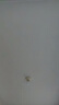 美的（Midea）led灯泡节能E27大螺口螺纹球泡家用光源6W正白三只装 实拍图
