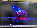泰坦军团 31.5英寸2304分区 MiniLED 4K 160Hz双模320Hz HDR1000 DyDs0.5ms消除拖影 电竞显示器P326MV MAX 实拍图