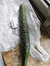 长黄瓜约600g 实拍图