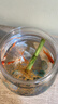 金鱼草金鱼观赏鱼冷水好养耐活小鱼苗锦鲤 2-4cm 红草金买3条送3条（加备损） 实拍图