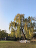 万火台灯床头灯卧室小夜灯卧室睡眠灯母亲节520送女朋友生日礼物女生 实拍图