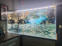 吉印刀锋s鱼缸灯led灯防水全光谱鱼缸照明灯水草灯小型超白鱼灯76cm 实拍图