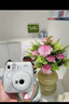 INSTAX富士instax立拍立得 一次成像相机 miniSE（mini7+升级款）白色 实拍图