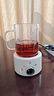 乐炖 养生壶迷你养生杯电炖杯办公室煮茶壶煮茶器小型一人花茶壶烧水壶电煮茶杯加热杯垫炖煮壶一体 0.6L 机械款（玻璃盖） 采购10台以上可联系客服换礼盒装 实拍图
