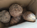 京鲜生云南牛奶小芋头净重5斤单果100g+粉糯奶香现挖新鲜蔬菜源头直发 实拍图