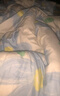 艾薇（AVIVI） 被套单件儿童被罩单件双人被单单件被套被罩200x230cm 爱心熊 实拍图