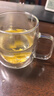 GLASSLOCK茶杯双层玻璃杯家用水杯咖啡杯耐高温泡茶杯办公室高硼硅450ml 实拍图