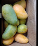 京地达海南小台农芒果 4.5斤特大果单果100g+ 新鲜水果源头直发包邮 实拍图