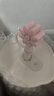 卡罗特保温杯大容量吸管杯女水杯子高颜值陶瓷内胆冰霸杯 810mL 实拍图