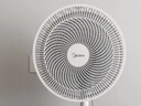 美的（Midea）【品质推荐】七叶轻音柔风电风扇/家用省电落地扇/台式电扇/广角摇头节能宿舍小型风扇 SAE35CA 实拍图