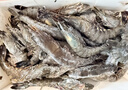 鲜京采 特大号福建活冻黑虎虾 净重3斤 30-45只/盒  实拍图
