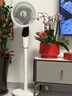 艾美特（AIRMATE）【天鹅MAX】空气循环扇直流变频家用大风力电风扇卧室轻音一级能效负离子净化语音落地扇 SRDI151 实拍图
